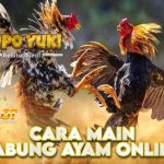 Cara Main Sabung Ayam Online di Situs Gacor Terpercaya