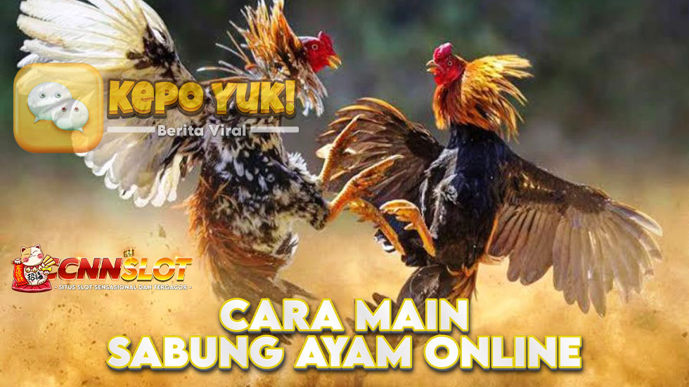 Cara Main Sabung Ayam Online di Situs Gacor Terpercaya