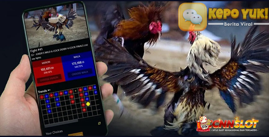 Cara Main Sabung Ayam Online di Situs Gacor Terpercaya