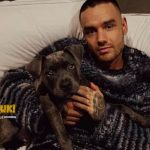 Liam Payne Meninggal Akibat Lompat dari Balkon Hotel Argentina