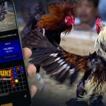 Serunya Sabung Ayam Online di Situs Slot Pulsa Terpercaya