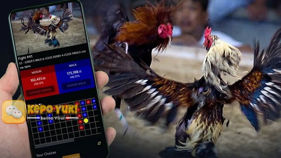 Serunya Sabung Ayam Online di Situs Slot Pulsa Terpercaya