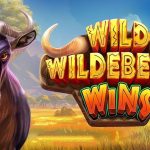 Slot Wild Wildebeest Wins: Petualangan Liar Menuju Kemenangan